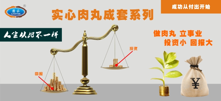 實心肉丸成套設備，讓你從此不一樣