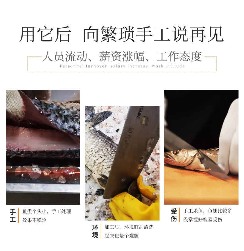 殺魚機與傳統(tǒng)殺魚對比